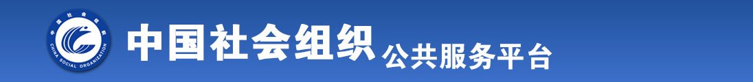 操逼视频网站入囗中文全国社会组织信息查询